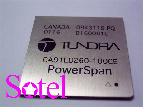 CA91L8260-100CE CA91L8260B-100CE 原装正品 保质量 7天包退换