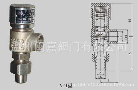 工程专用低温安全阀\中国低温安全阀\浙江低温安全阀\安全阀