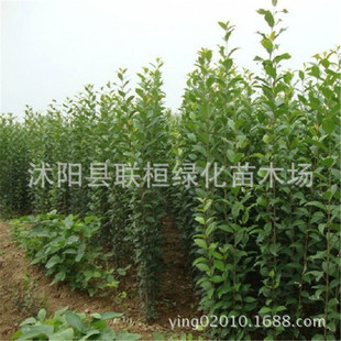 �G��������ľ�е��侰�^�ߗU���~Ůؑ������~ŮؑС����~Ůؑ��