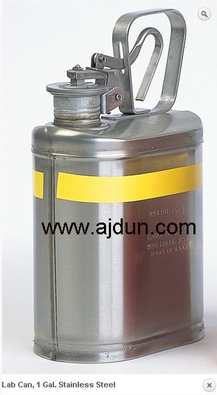 美国eagel1加仑实验室安全罐