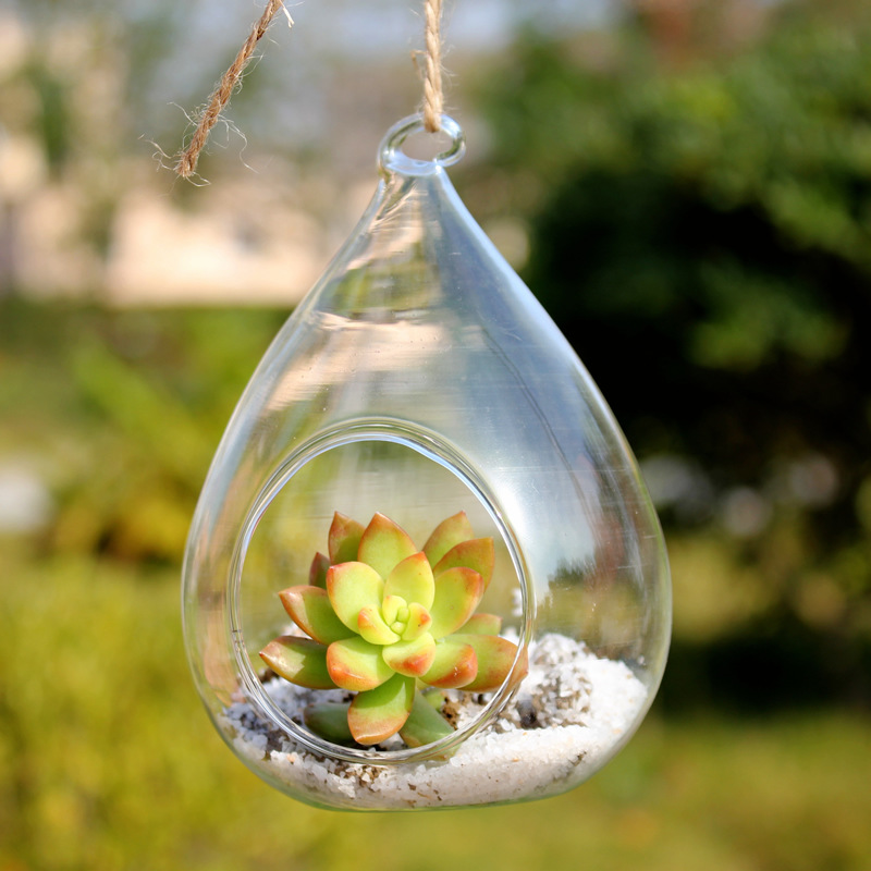 Florero de vidrio colgante planta suculenta florero creativo hidropónico flor Ware decoración del hogar artesanía
