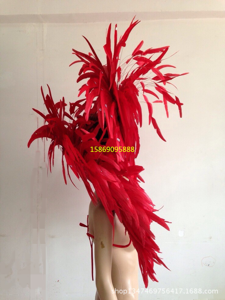 舞臺表演羽毛裝飾