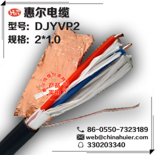 DJYVP2-2*1.0�~������Ӌ��C������|�Ͼ����υ^�S��ֱ�N