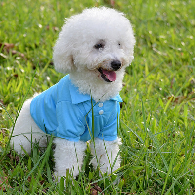 Pet clothing Teddy Golden Retriever dog clothes Dog Clothes Wholesale Tai Diji doll polo Shirt manufacturer