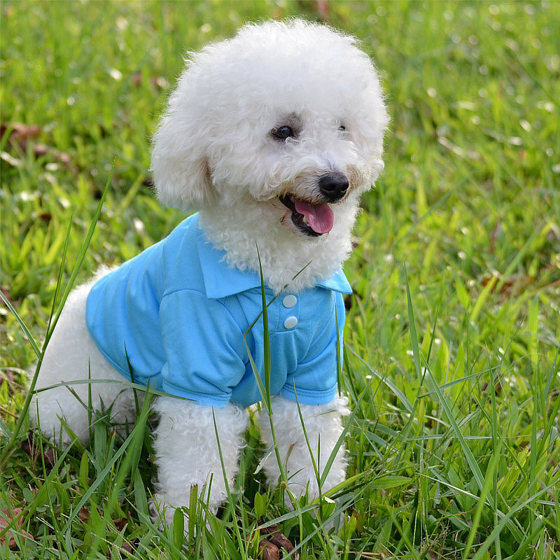 Pet clothing Teddy Golden Retriever dog clothes Dog Clothes Wholesale Tai Diji doll polo Shirt manufacturer