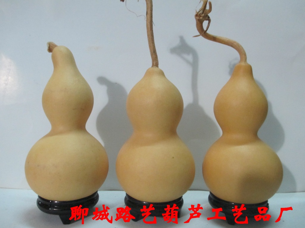 2014白皮小亚腰葫芦通货1