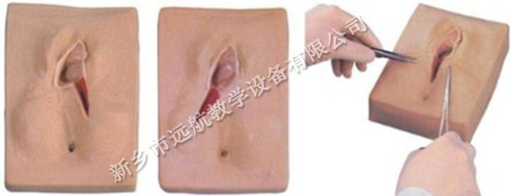 高级硅胶会阴切开缝合训练模型_副本