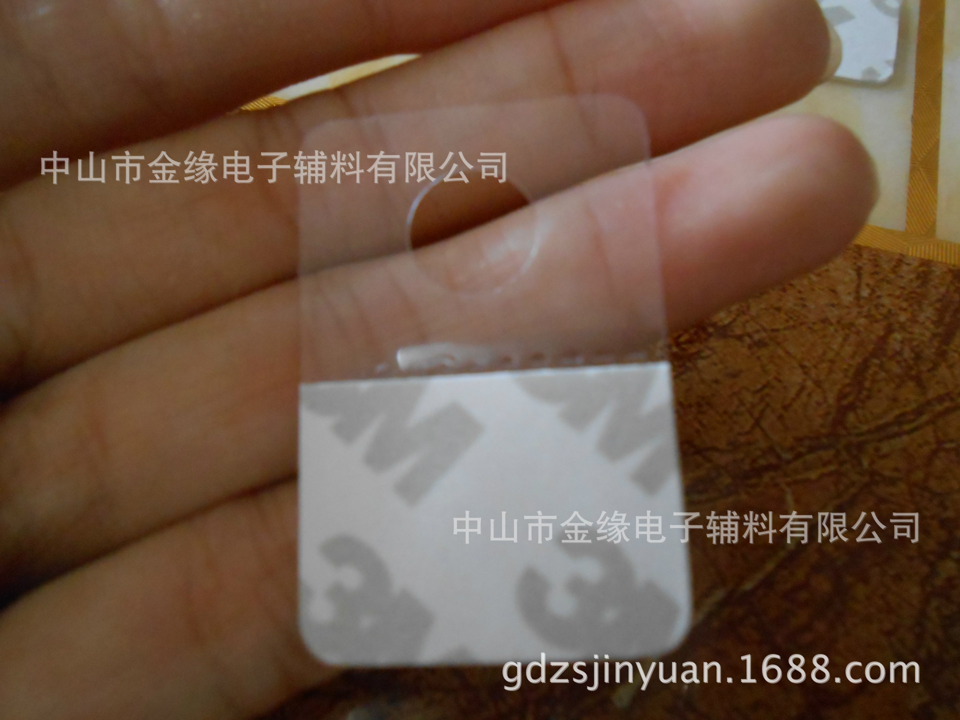 DSCN6819