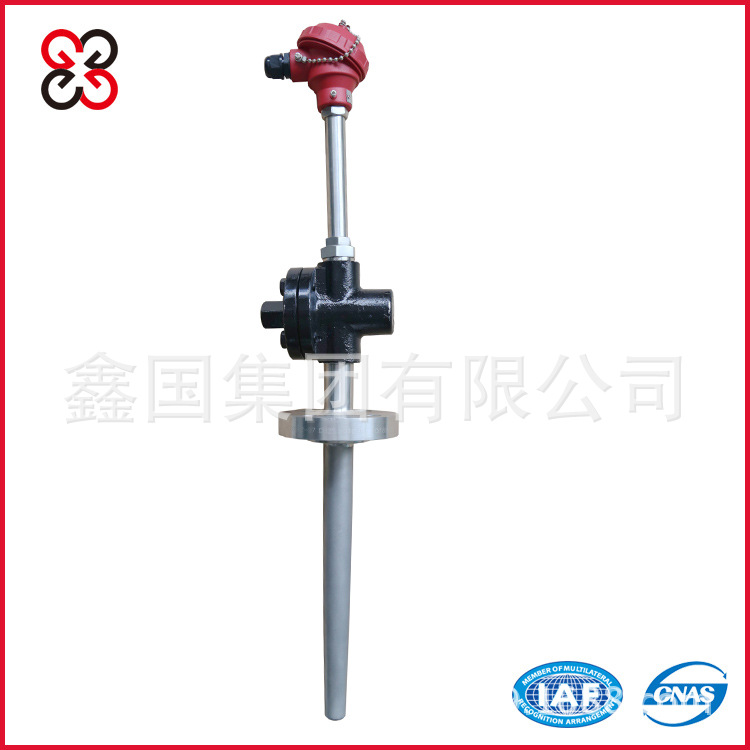 供应耐磨切断热电偶 水泥厂耐磨 鑫国国标热电阻批发