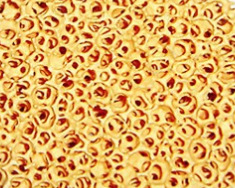 进口品牌 氧化锆泡沫陶瓷过滤网 高温合金过滤的精品