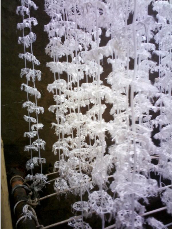 b475aa300df17c55682ae62514468c