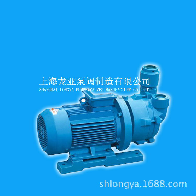 vacuum pump 220/380V 2BV水环真空泵 2BVA5110-0KC隔爆真空泵