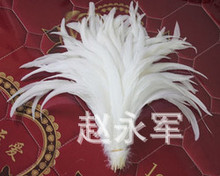 厂家批发各个尺寸DIY公鸡尾毛纯白鸡尾公鸡尾巴毛服装配件羽毛