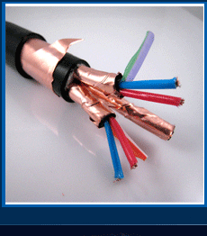 供应电子计算机电缆DJVVP DJYVP 电线电缆