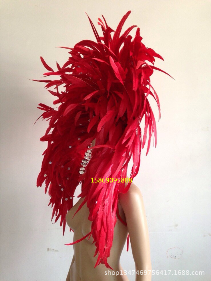 舞臺表演羽毛裝飾