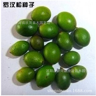 l²Ƀ|_hľN С~ȸ_hɷN FɘN