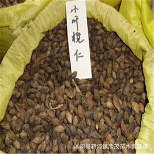 �S�ҟ��N ���l���� С�~�ϙ�N�� ���|����  ���ϙ�N�Ӱ��]