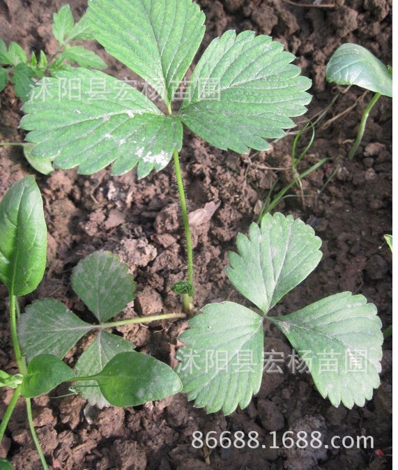 QQ图片20020104135750