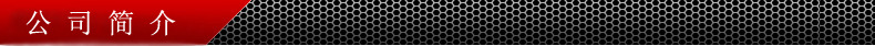 公司简介