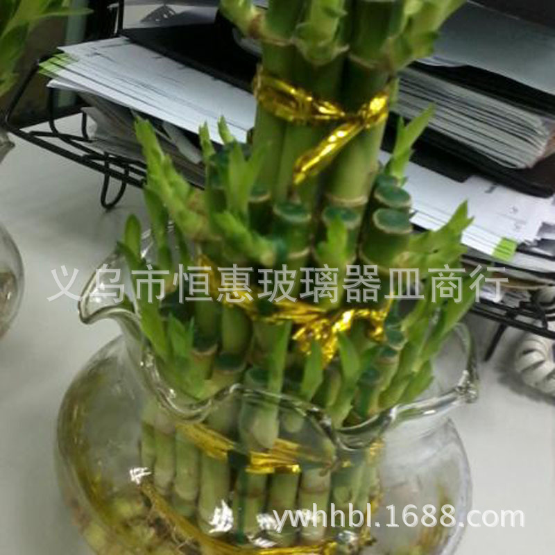 {33F5F51E-D652-4C2C-A316-24313