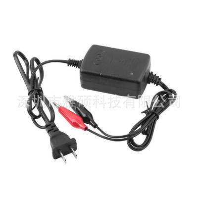 Small water pump/Apple bagging device/agricultural equipment battery charger 12V lead acid battery charger