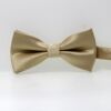 Fashionable classic suit, overall, bow tie with bow