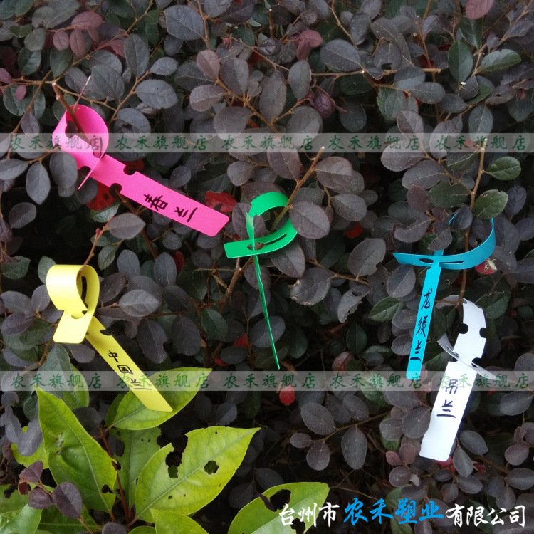 IMG_20141014_112123_副本