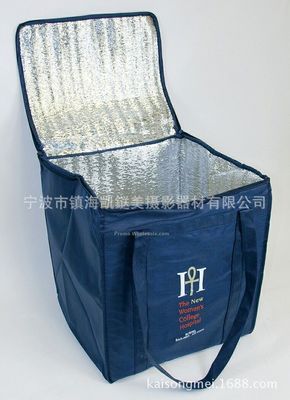 Lunch cooler bag,Ice bag,automobile Picnic Cold boxes C2001