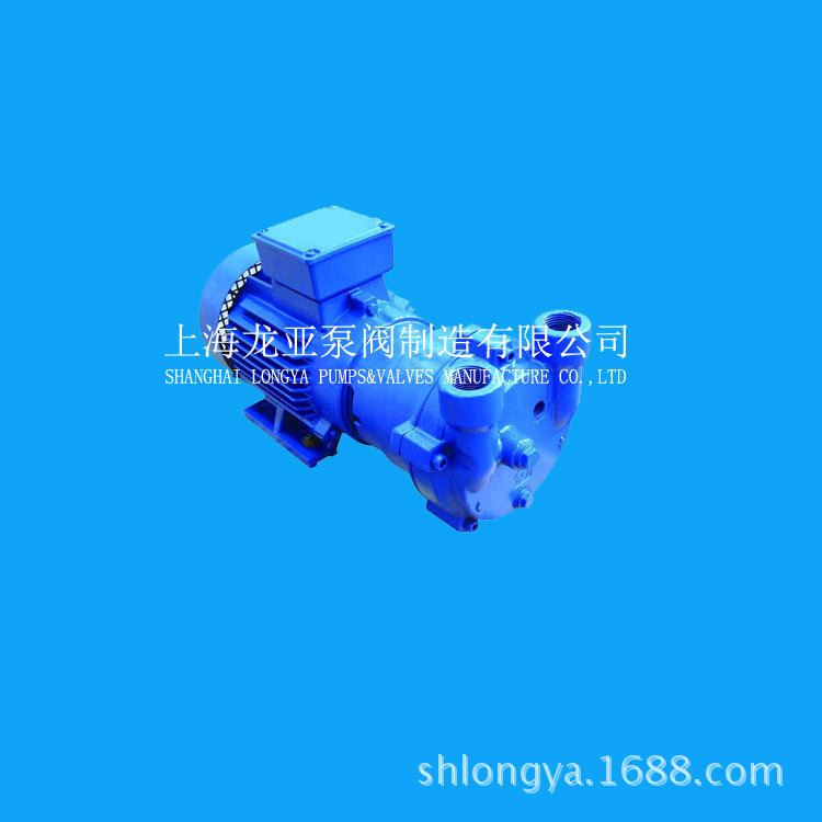 供应高精度2BV5161水环真空泵,2BV水循环真空泵,耗水环真空泵