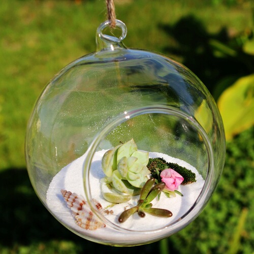 Micro landscape ecological bottle, hanging glass vase, succulent plant vase, wedding crafts