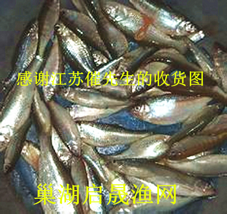 u=3767496676,865312915&fm=21&g