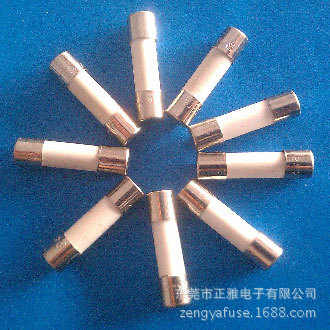 供应保险丝5X20陶瓷保险管 大电流 陶瓷保险丝管.20A保险丝