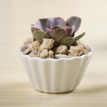 ��ɫ���s����ins �������ؐ���մɻ���С���Ի��脓���մɻ���