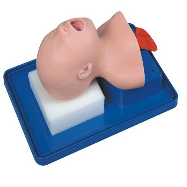 新生儿气管插管训练模型 