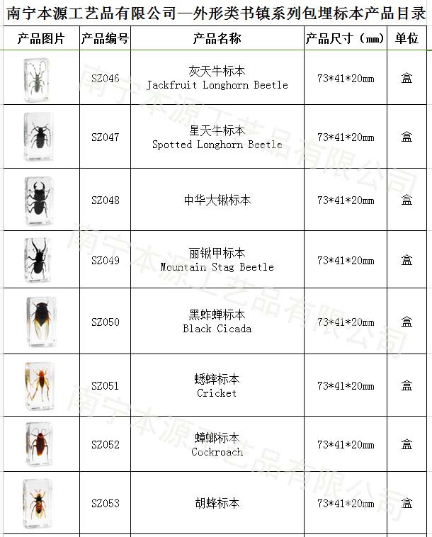 本源公司外形系列包埋標本06