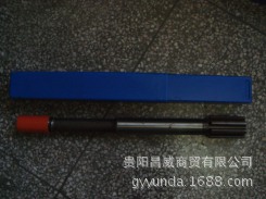 DSC02885 [原始大小]