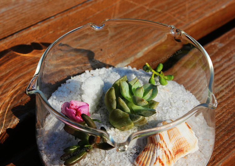 Florero de vidrio transparente con volantes florero suculento flor hidropónica Ware pastoral artesanía adornos