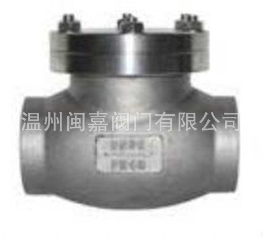 DH44Y 型低温旋启式止回阀 DH44Y低温止回阀