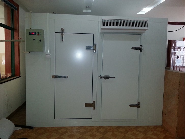 水果保鲜冷库 冷库设计 定制冷库 冷库板 保鲜冷库