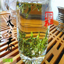 日照绿茶2024年春茶绿茶散装 香醇回甘味香浓郁 厂家批发炒青茶叶