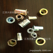 �����ݽzĸ�S��ֱ�N�T��ĸ ���T��ĸ���^ƽ�^�����ǈA��ĸ�F؛