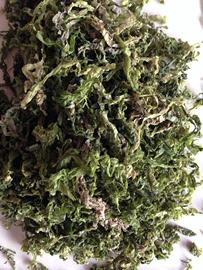 海藻类;库存农产品;脱水蔬菜