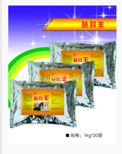 供应食用菌 菇耳丰 蘑菇长势好