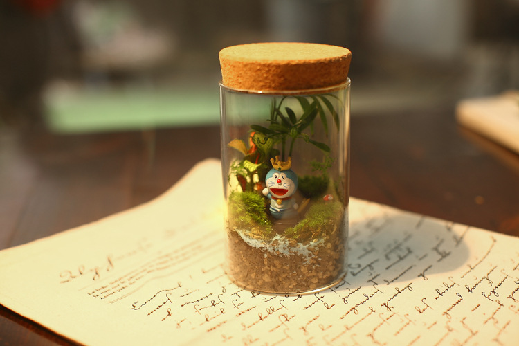 Botella de vidrio de paisaje micro Botella de musgo de vidrio transparente florero suculento Tarro sellado de corcho