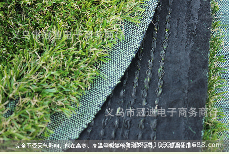 805加密秋草2cm_07