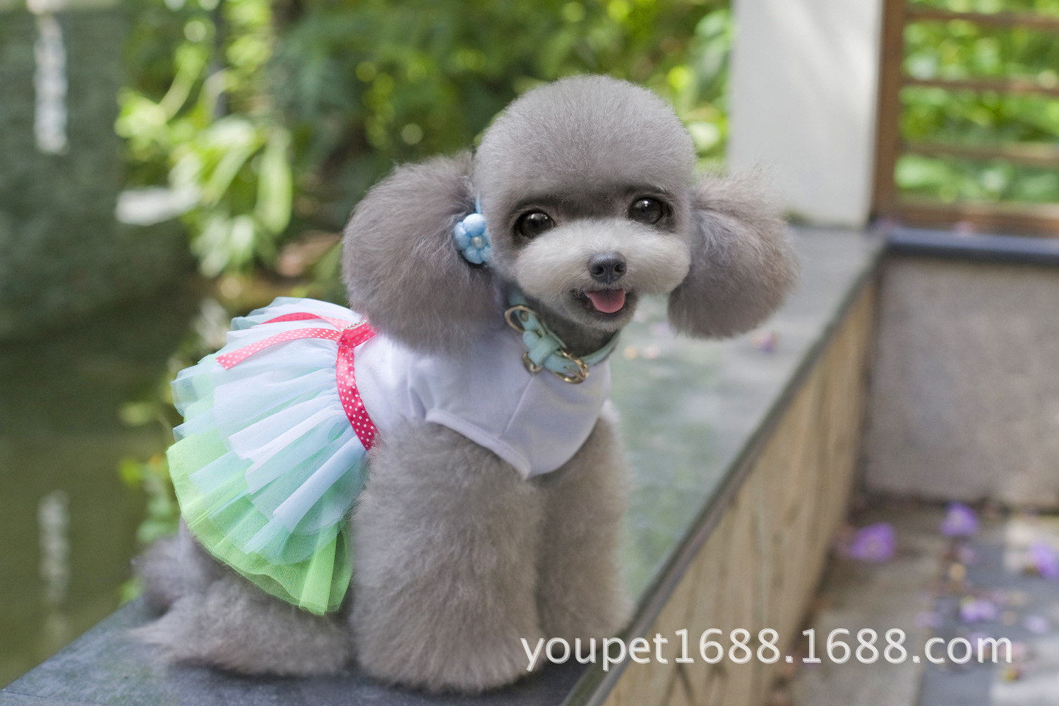 嘴唇纱裙 甜心纱裙