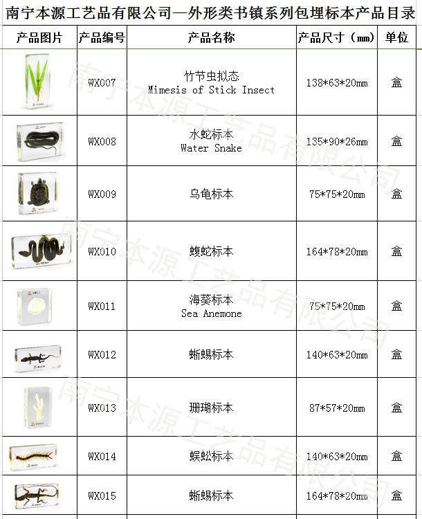 本源公司外形系列包埋標本13