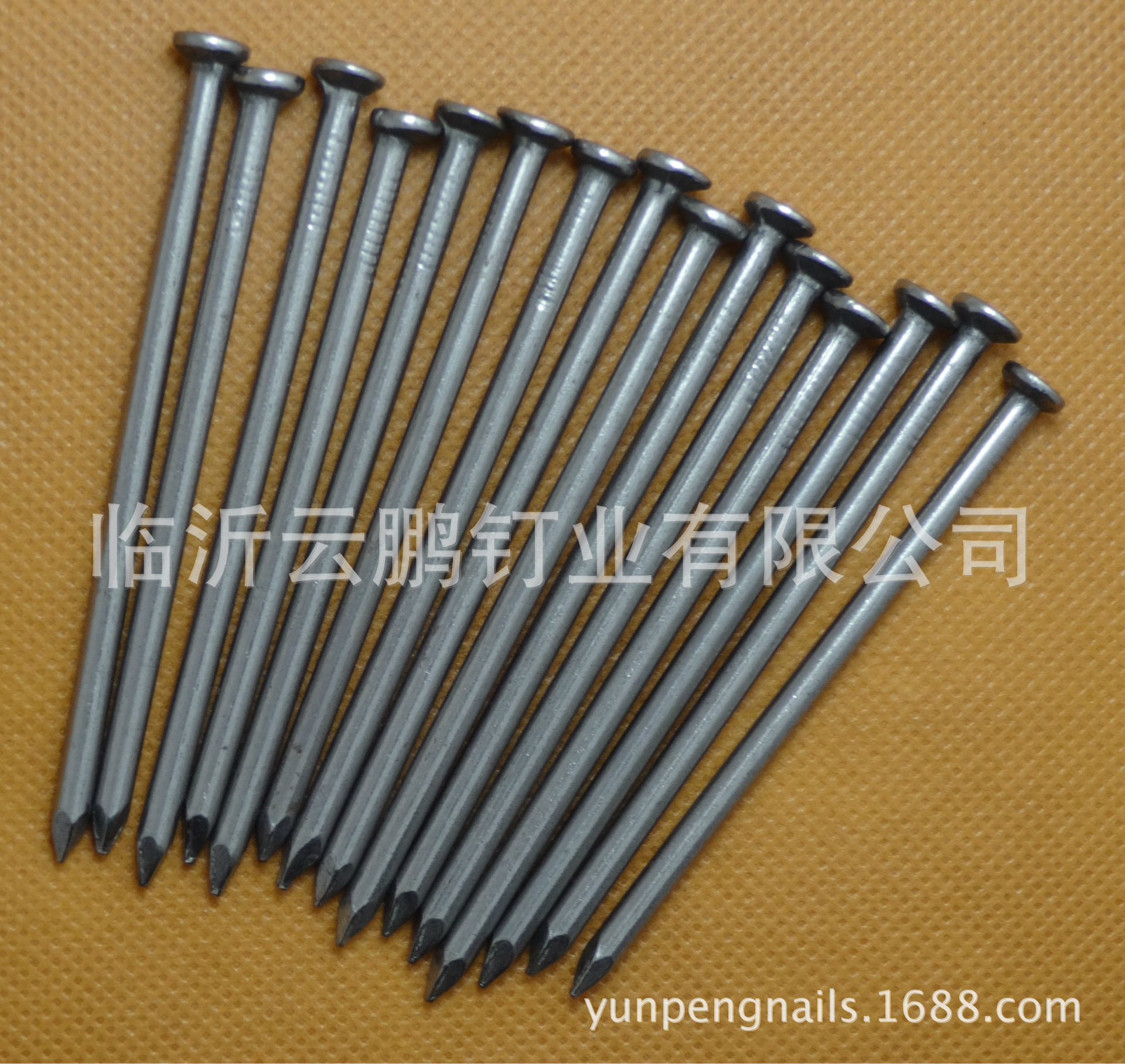 长铁钉 长度直径300mmx8mm 钉身光滑 帽圆 平头沉头