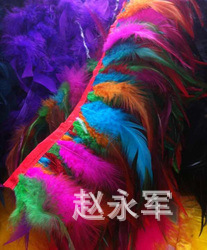 T1gwKSXCdcXXXXXXXX_!!0-item_pi