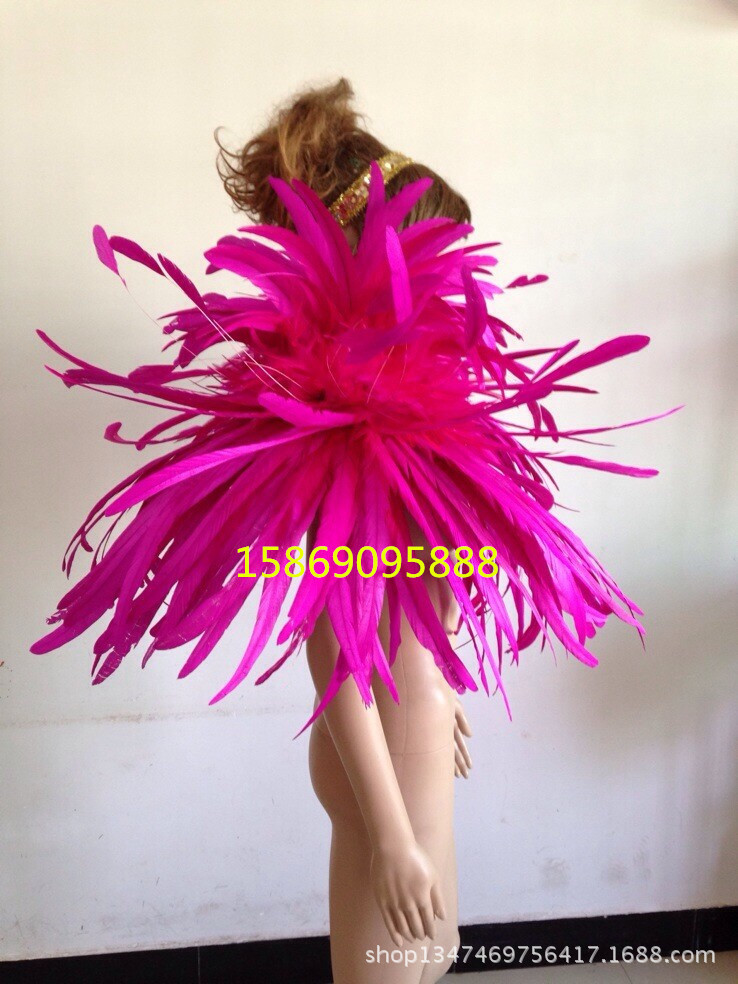 演出服裝羽毛裝飾